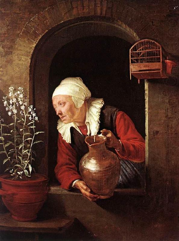 Old Woman Watering Flowers sd, DOU, Gerrit